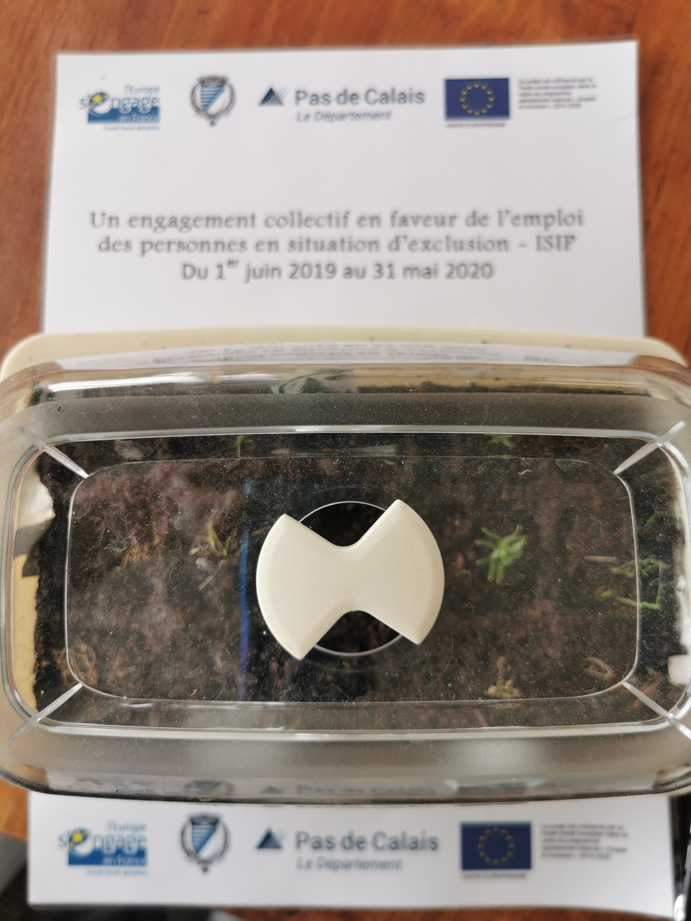 Mini-serre 2