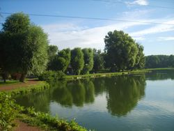 Marais