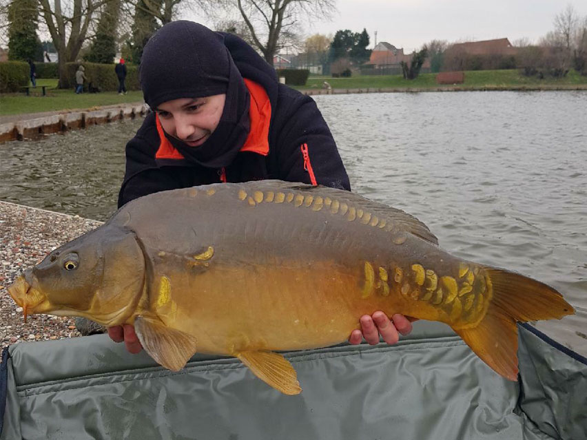 Poisson2018