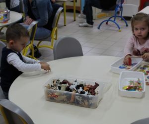 IMG 4892