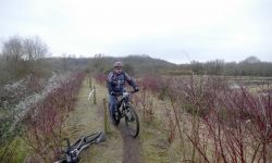 VttAnnay2017178
