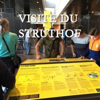 Couverture Struthof