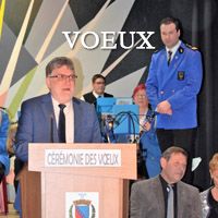 Couverture Voeux